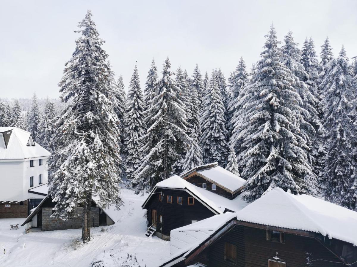 Apartments Zed Vila Zvoncica Kopaonik Exterior foto